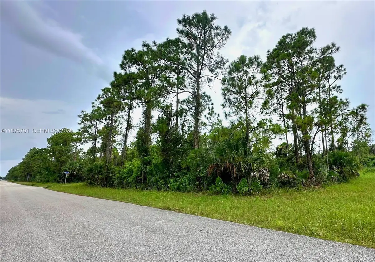 1247 Rake E Street, Lehigh Acres, FL 33974 - #1