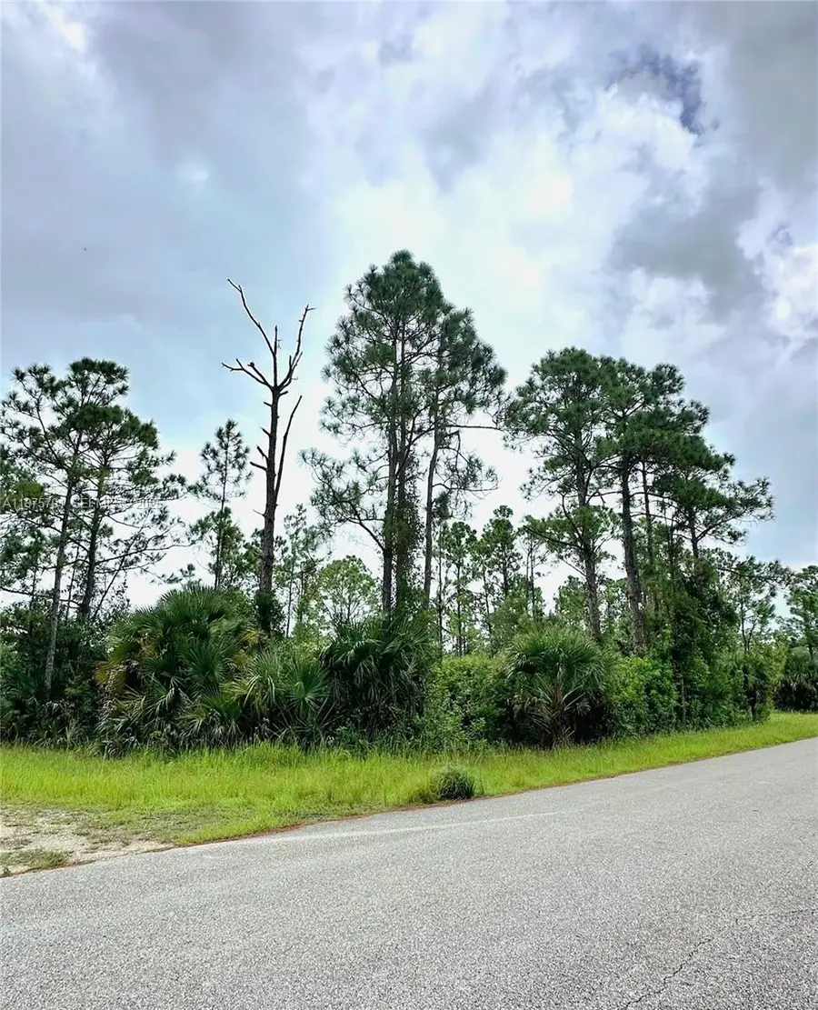 1247 Rake E Street, Lehigh Acres, FL 33974 - #2
