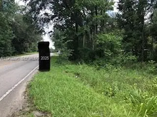 19220 N N Highway 329, Micanopy, FL 32667