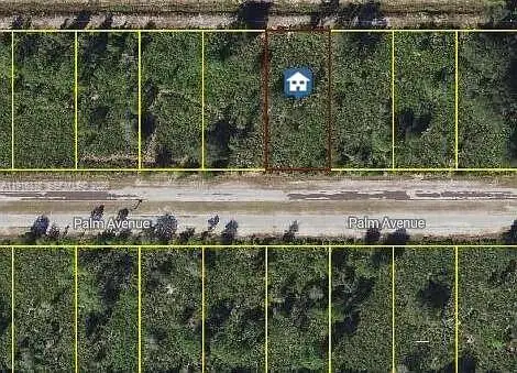 0 Palm, , FL 