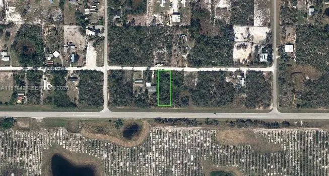 141 Flagler Street, Lake Placid, FL 33852 - #1