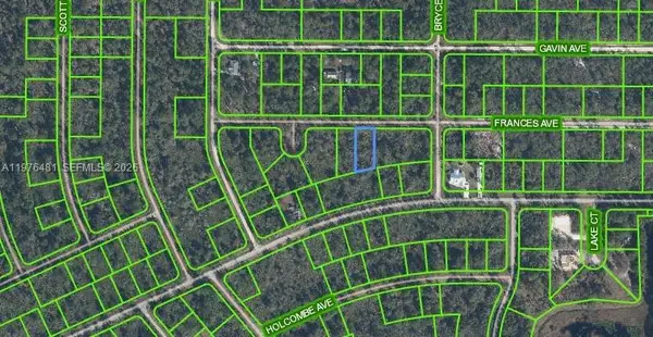 Address Withheld By Seller, Lake Placid, FL 33852