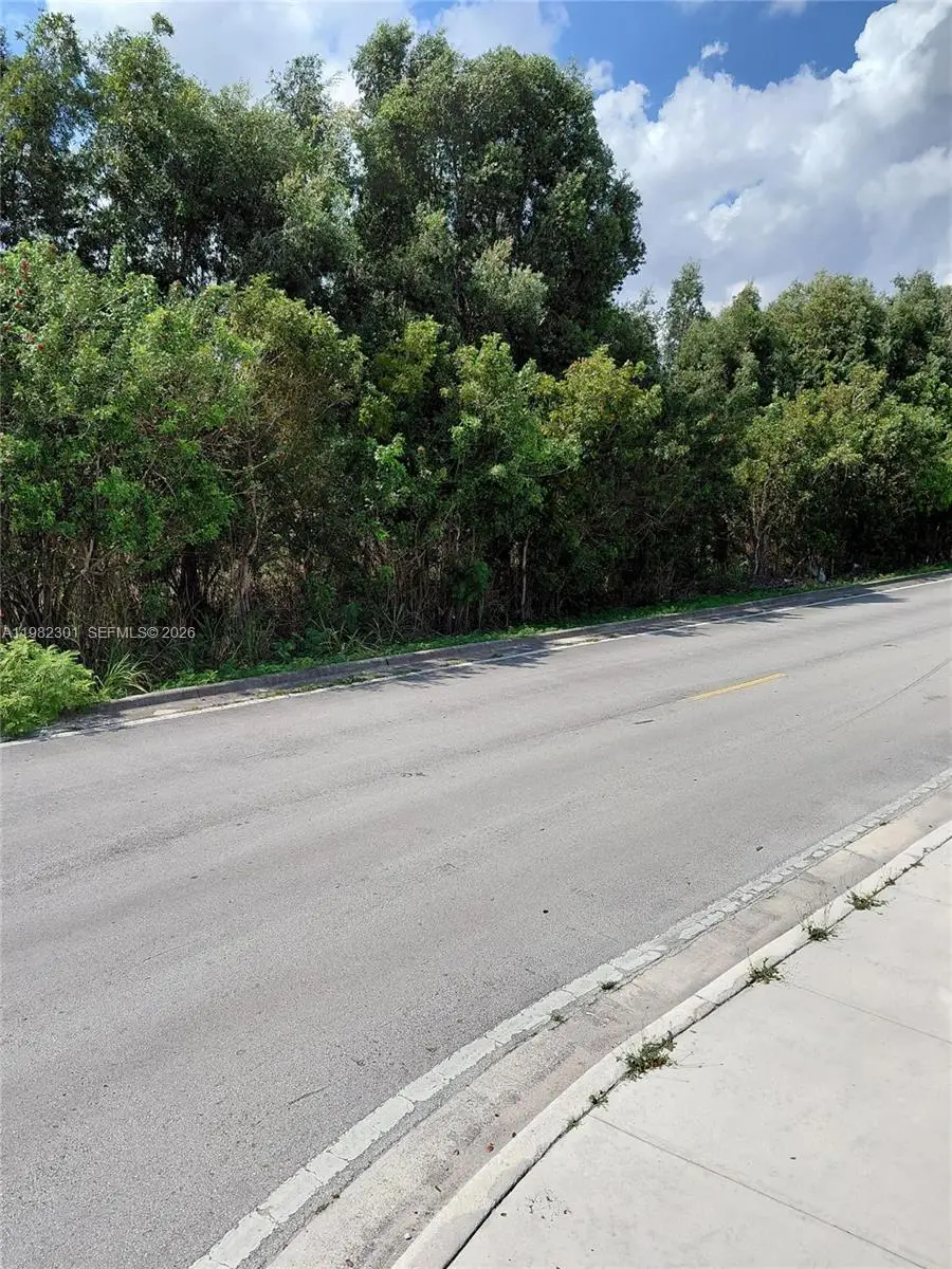 168xx 45th Street, Miami, FL 33185 - #3