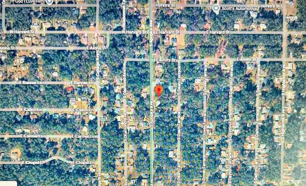 3401 S Apopka Avenue, Inverness, FL 34452