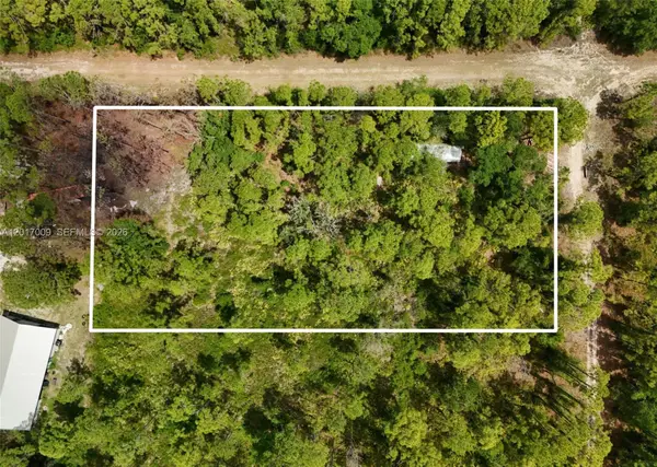 0 SW Nassau Avenue, Arcadia, FL 34266