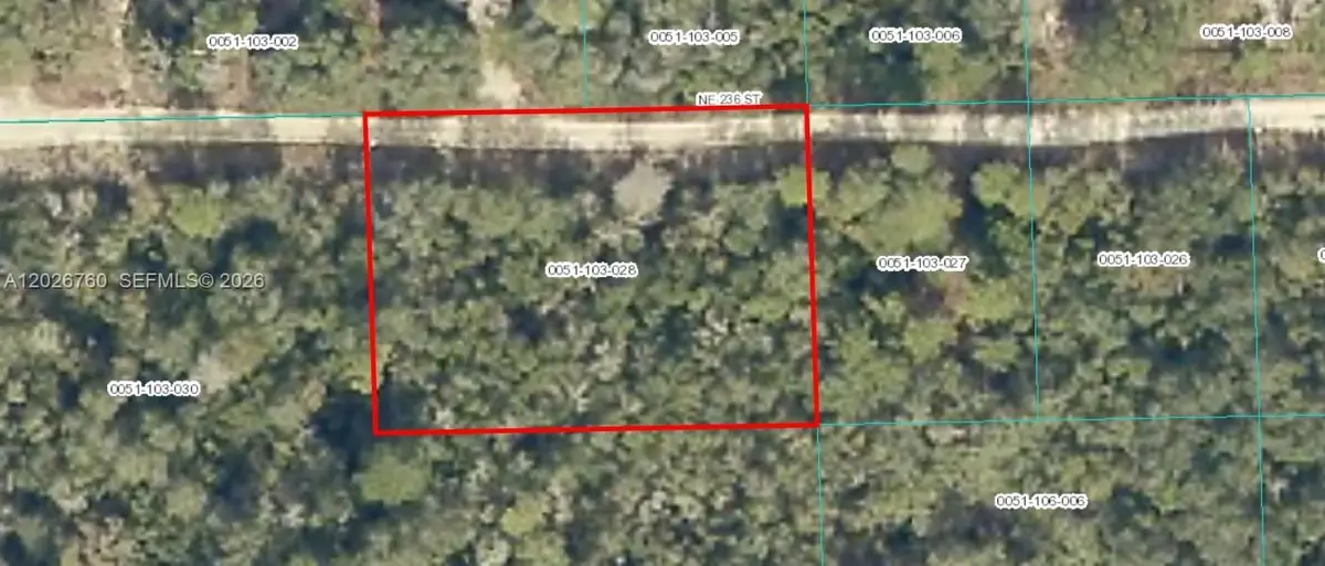 TBD NE Tbd 236, Fort McCoy, FL 32134 - #1
