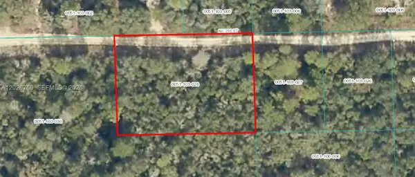 TBD NE Tbd 236, Fort Mc Coy, FL 32134