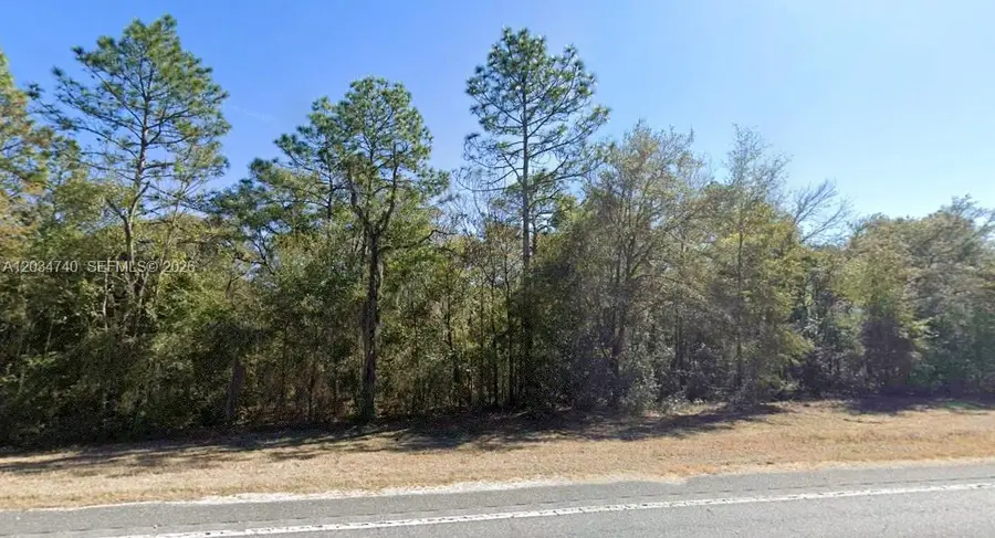 Lot 2 Lot 2 Street, Williston, FL 32696 - #3
