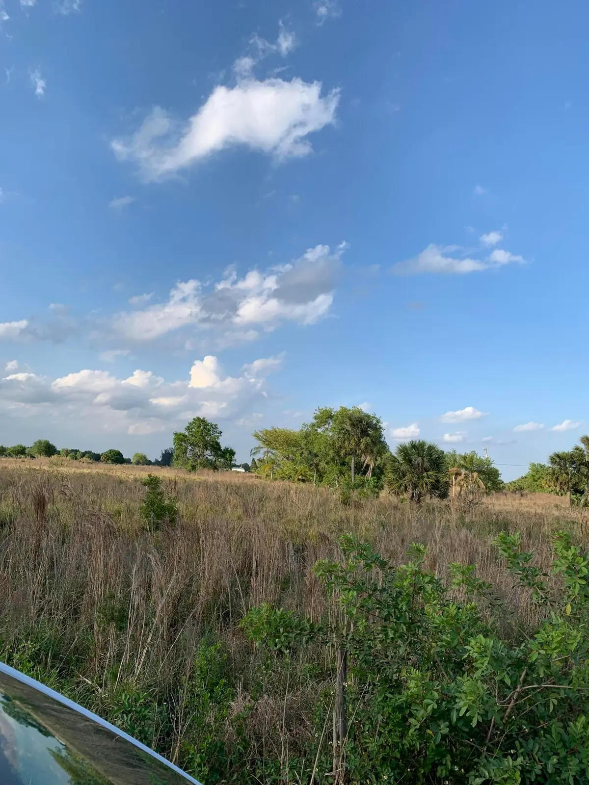 20637 Simone Drive, Loxahatchee, FL 33470 - #1