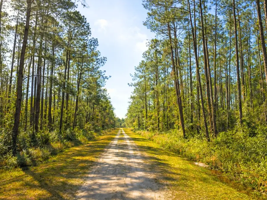 10675 Delgado Avenue, Hastings, FL 32145 - #3