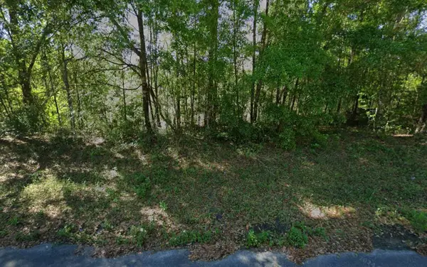 212 Dolphin Circle, Middleburg, FL 32068