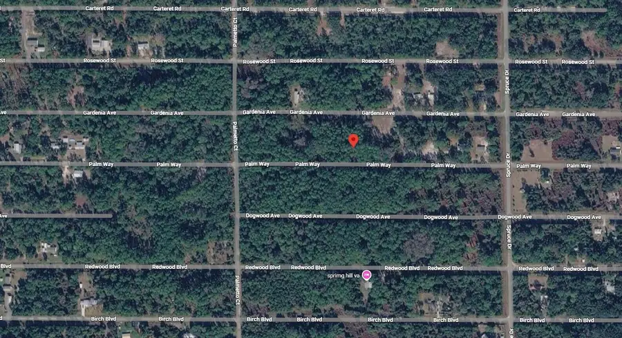 418 Palm Way, Georgetown, FL 32139 - #3