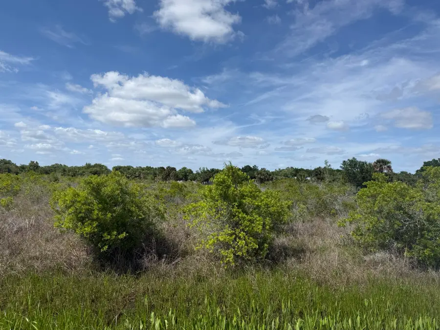 19369 NW 300th Street, Okeechobee, FL 34972 - #2