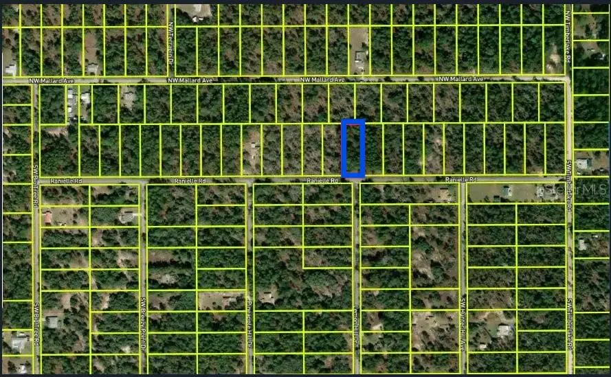0000 SW Rainelle Road, Dunnellon, FL 34431 - #3
