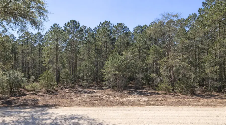 0000 SE 130th Court, Dunnellon, FL 34431 - #3