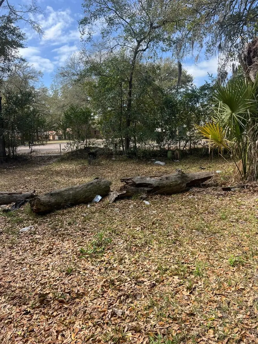 5846 Abelia Road, Jacksonville, FL 32209 - #2