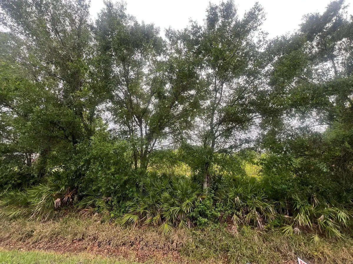 3347 NW 17th Avenue, Okeechobee, FL 34972 - #1