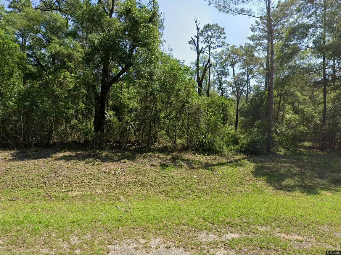 1443 E Odin Drive, Dunnellon, FL 34434 - #1