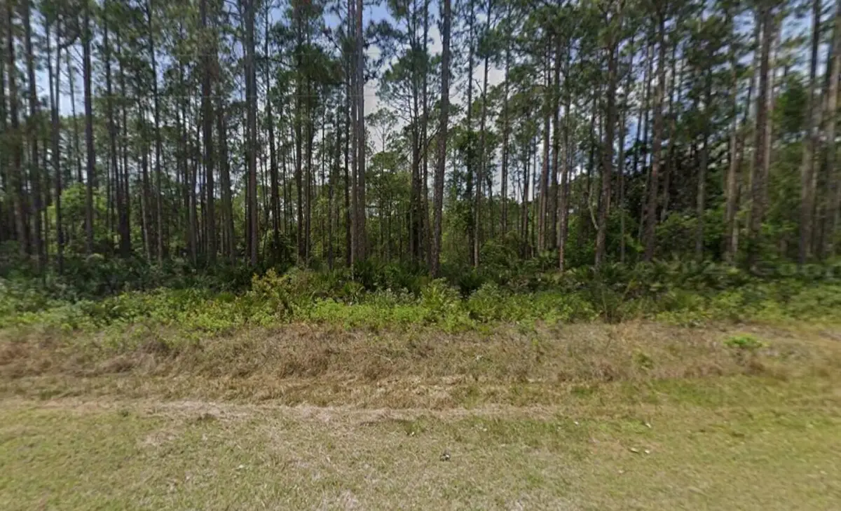 141 E Boundary Drive, Georgetown, FL 32139 - #1