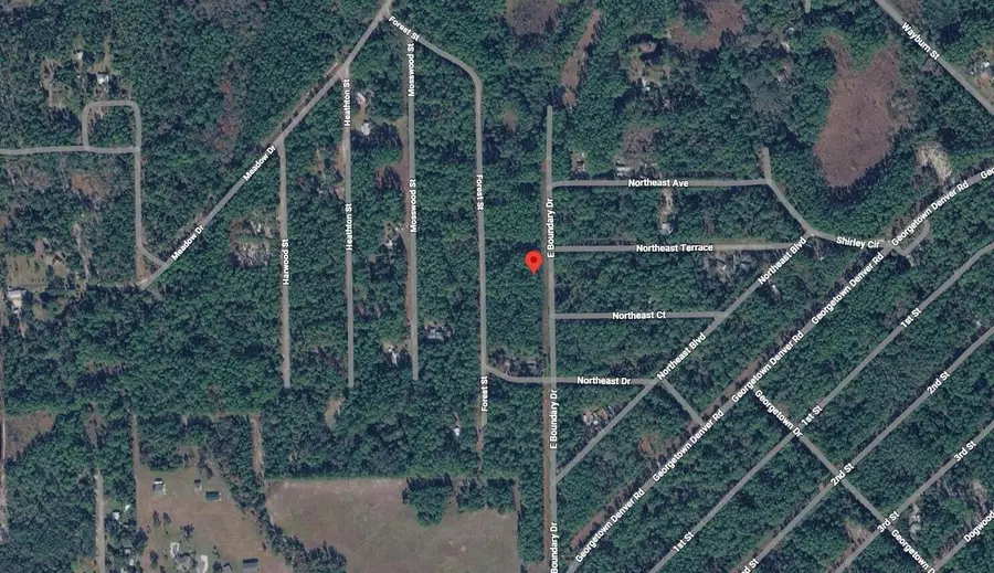 141 E Boundary Drive, Georgetown, FL 32139 - #3