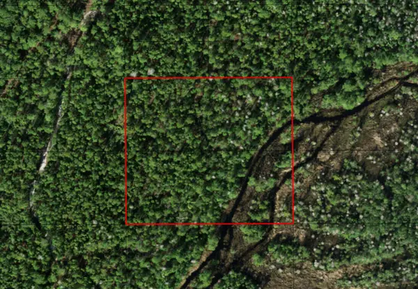 0 Holopaw Groves Road, St Cloud, FL 34772