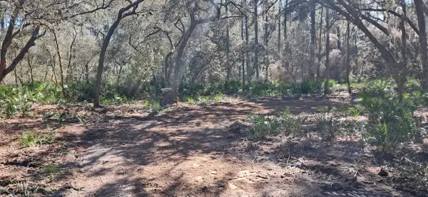 119 Gardenia Avenue, Georgetown, FL 32139