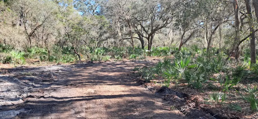 119 Gardenia Avenue, Georgetown, FL 32139 - #2