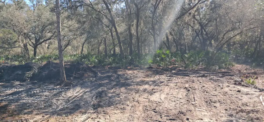 119 Gardenia Avenue, Georgetown, FL 32139 - #3