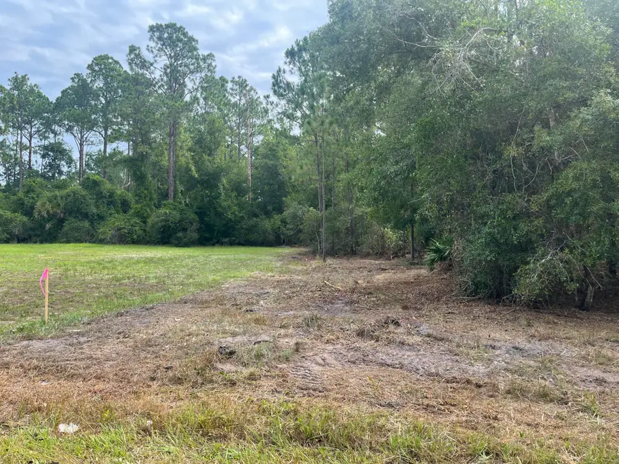 124 Glenside Street, Georgetown, FL 32139 - #2