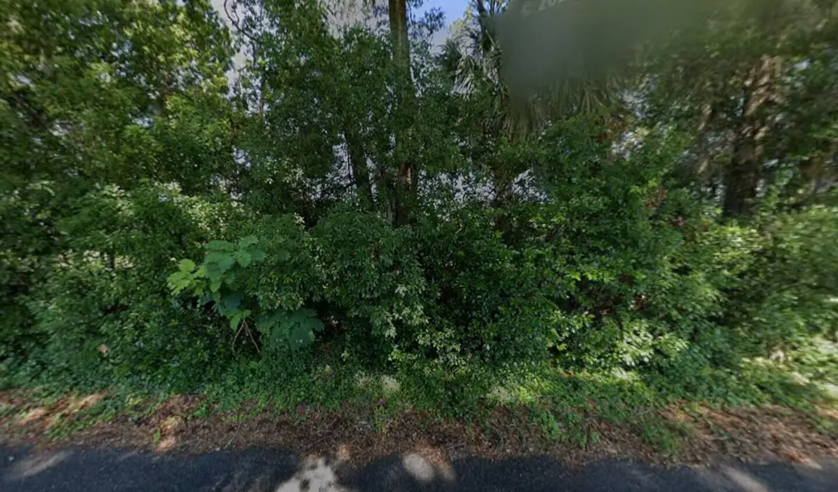 1590 SE 55th Avenue, Ocala, FL 34480 - #1