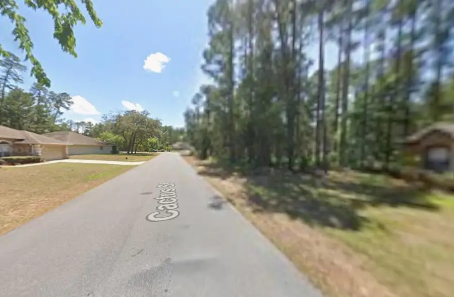 6 Cactus Street, Homosassa, FL 34446 - #3