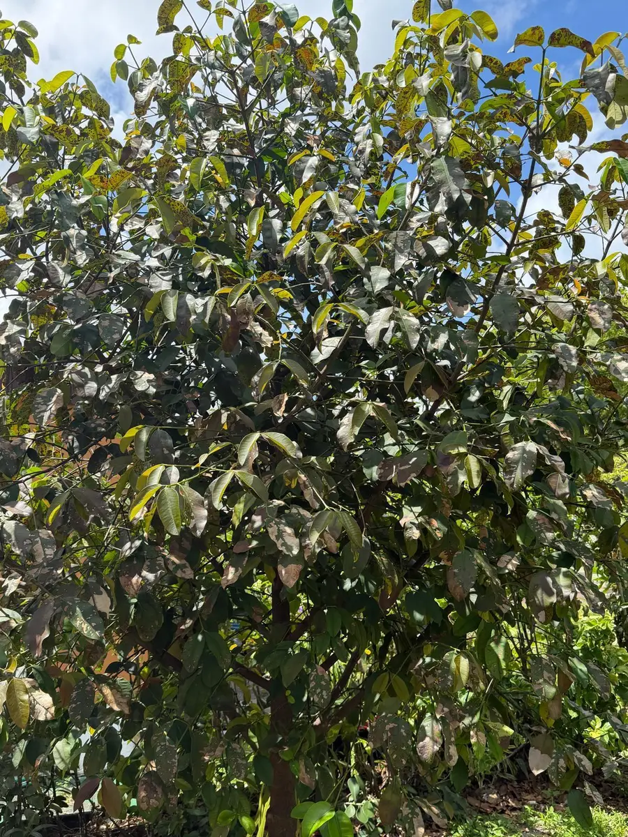 1674 NE 169th Street, North Miami Beach, FL 33162 - #3