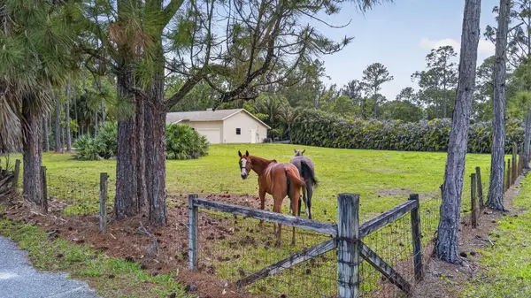 6045 Hall Boulevard, The Acreage, FL 33470