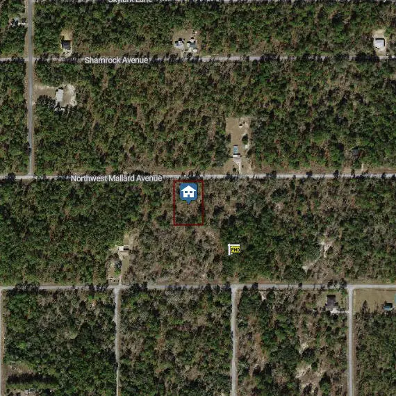 00000 NW Mallard Avenue, Dunnellon, FL 34431 - #1