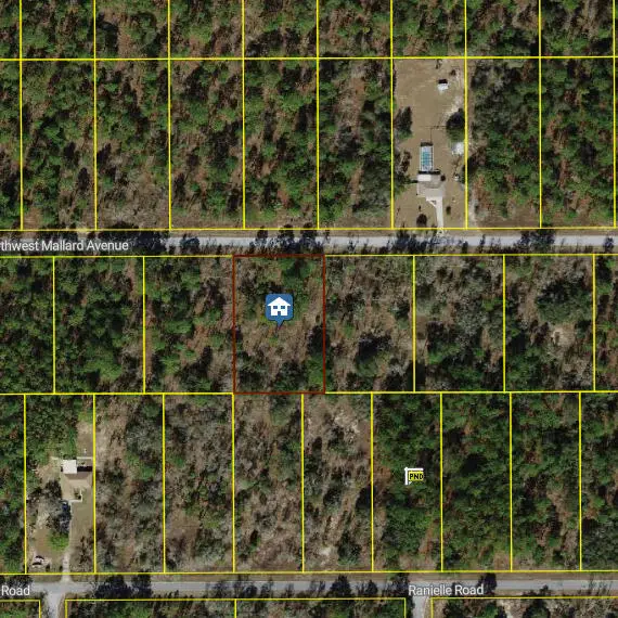 00000 NW Mallard Avenue, Dunnellon, FL 34431 - #2