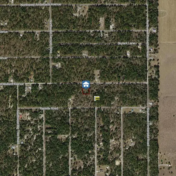 00000 NW Mallard Avenue, Dunnellon, FL 34431 - #3