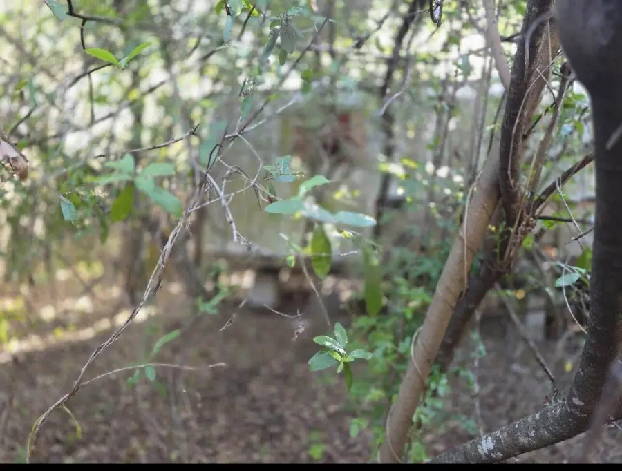 750 N Arboleda Street, Clewiston, FL 33440 - #3