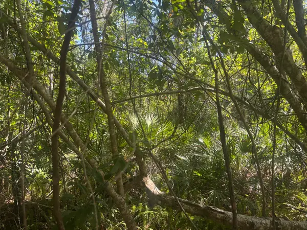 536 Bright Hill Avenue, Lake Placid, FL 33852
