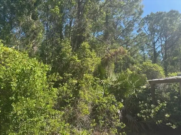 0 Golden Shores Blvd, Mims, FL 