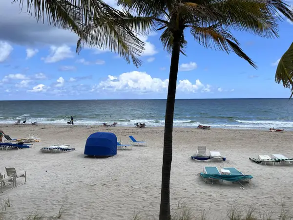 3500 Galt Ocean Drive #208, Fort Lauderdale, FL 33308