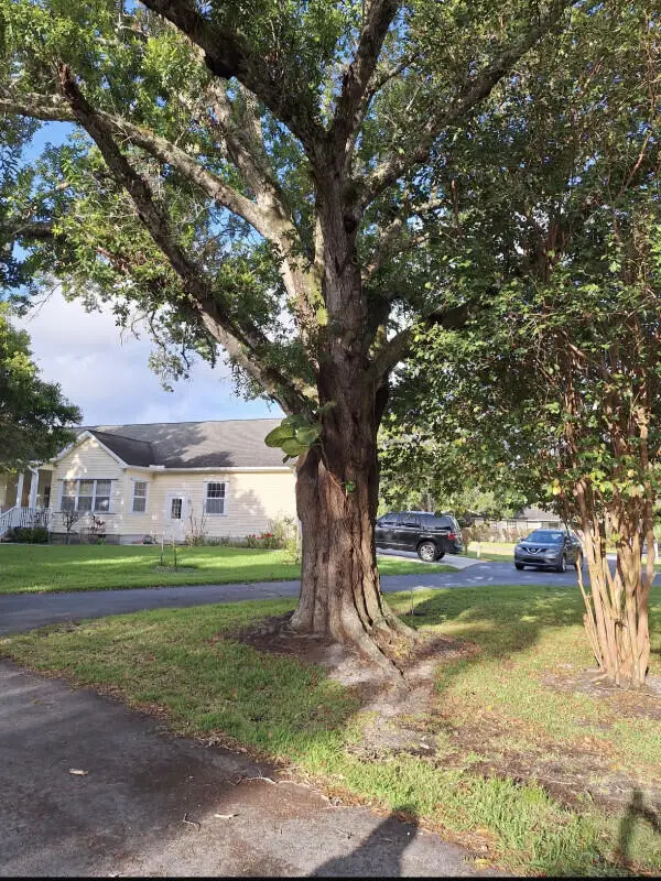 3162 Dame Road, Fort Pierce, FL 34981