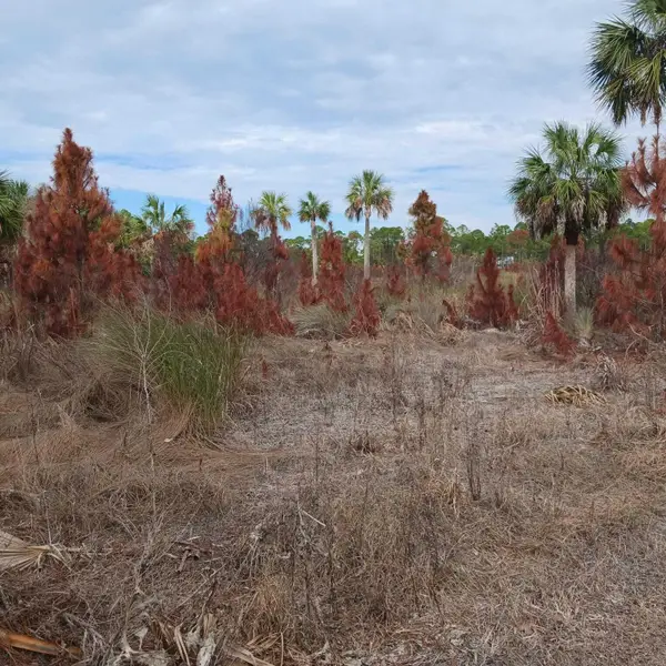 0 SW 153rd Terrace, Cedar Key, FL 32625