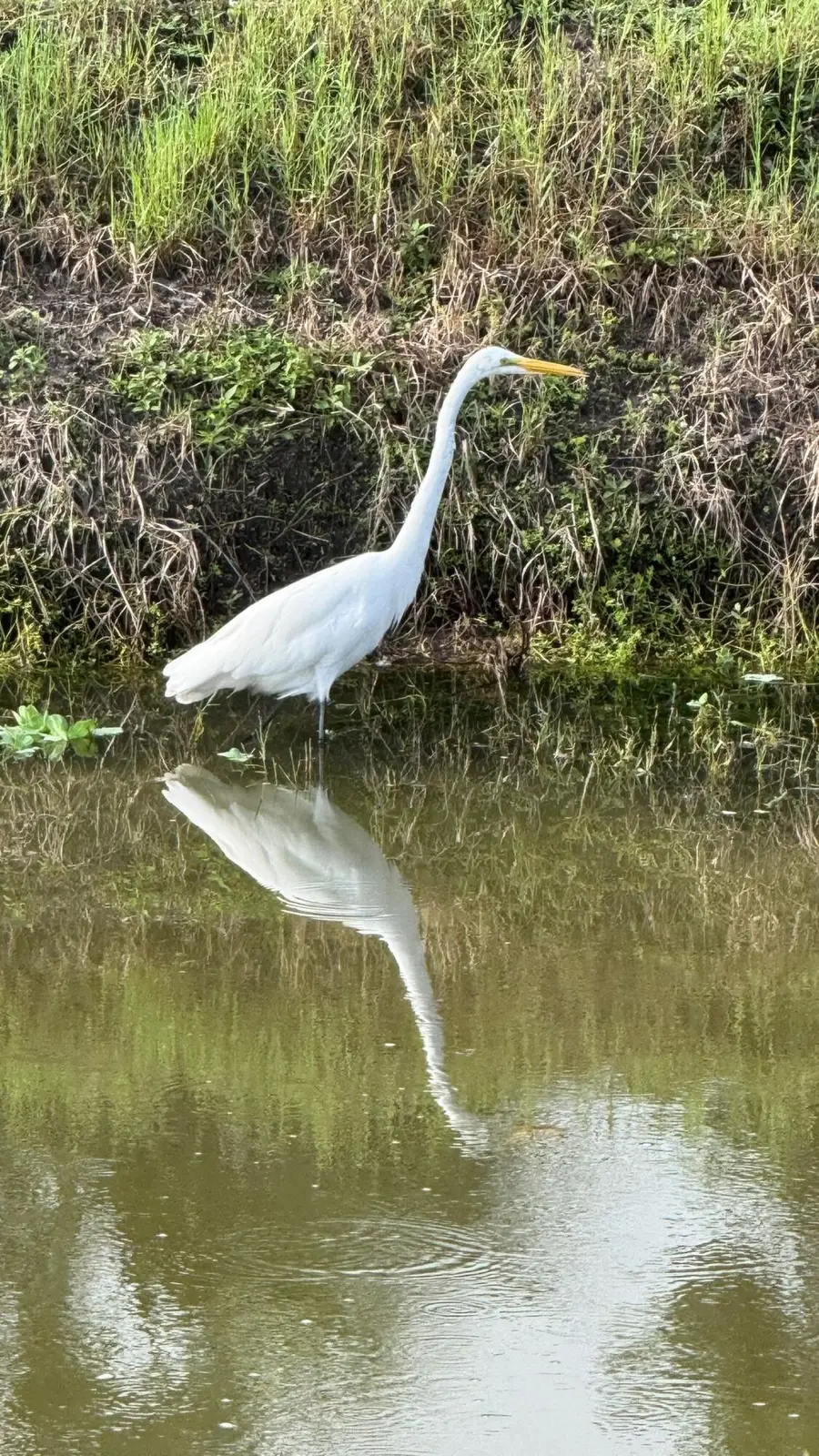 13469 Va Vesta #A, Delray Beach, FL 33484 - #2