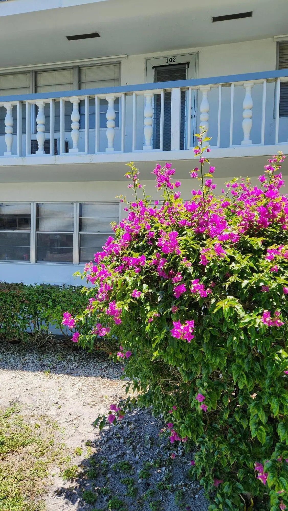 102 Andover #102, West Palm Beach, FL 33417 - #1