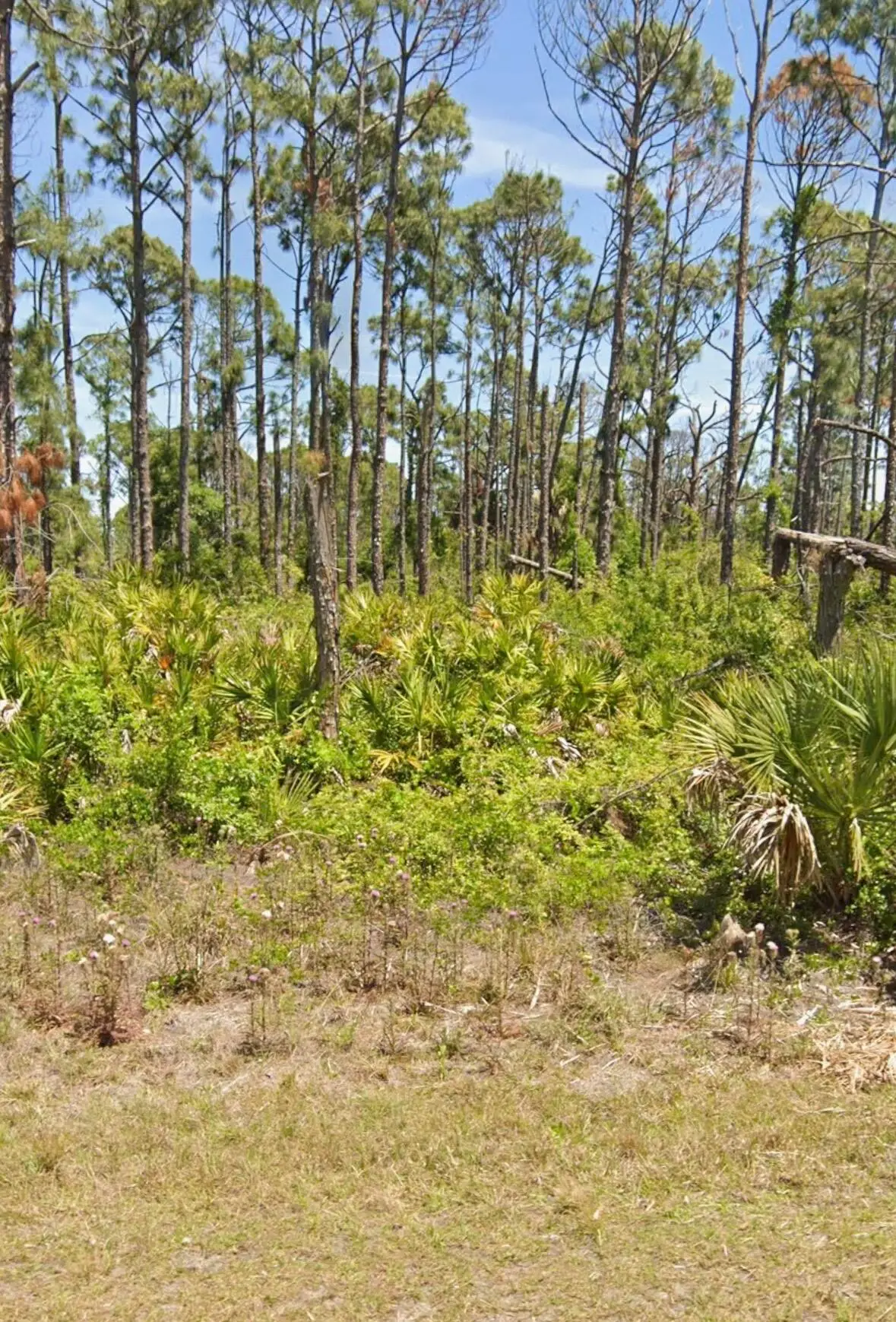7430 Coach Road, Port Charlotte, FL 33981 - #1