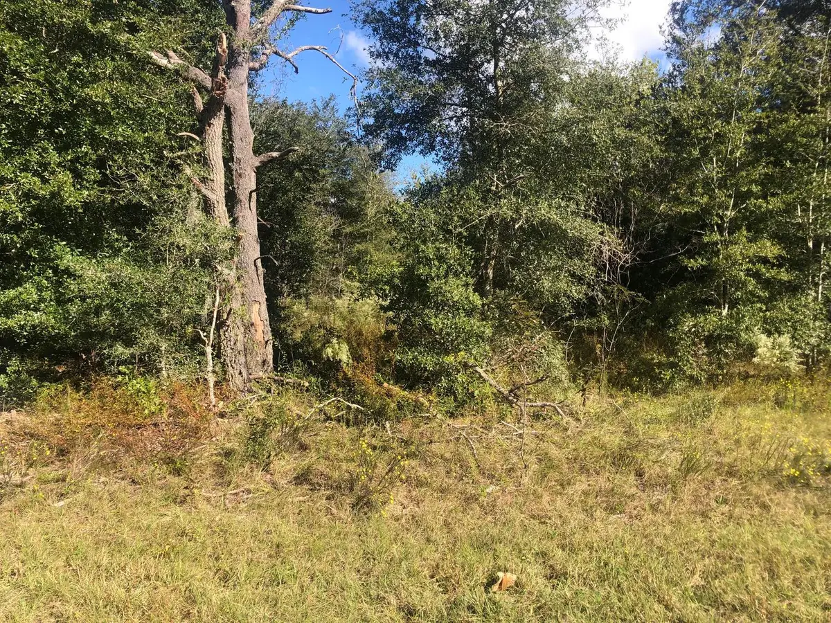 0 Dawn Avenue, Interlachen, FL 32148 - #1