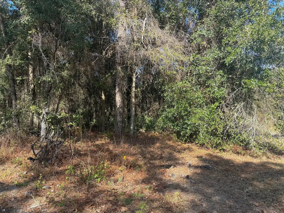 7178 W Wildfire Lane, Homosassa, FL 34448 - #1
