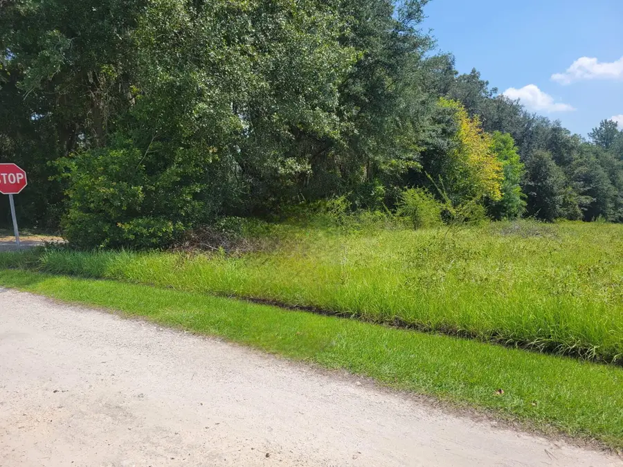 00 SW 67th Street, Lake Butler, FL 32054 - #3