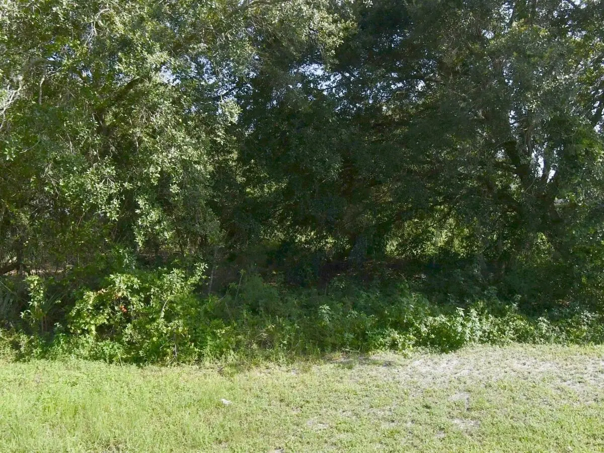 265 N Wakefield Circle, Port Saint Lucie, FL 34953 - #1