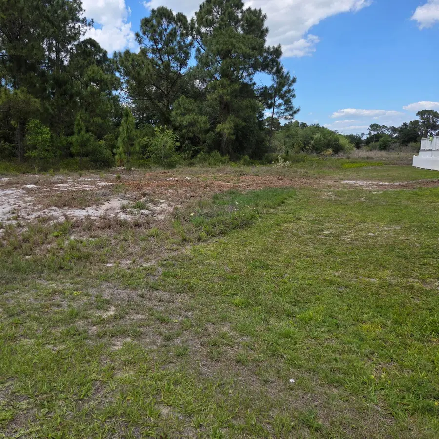 232 Silver Avenue, Lake Placid, FL 33852 - #3